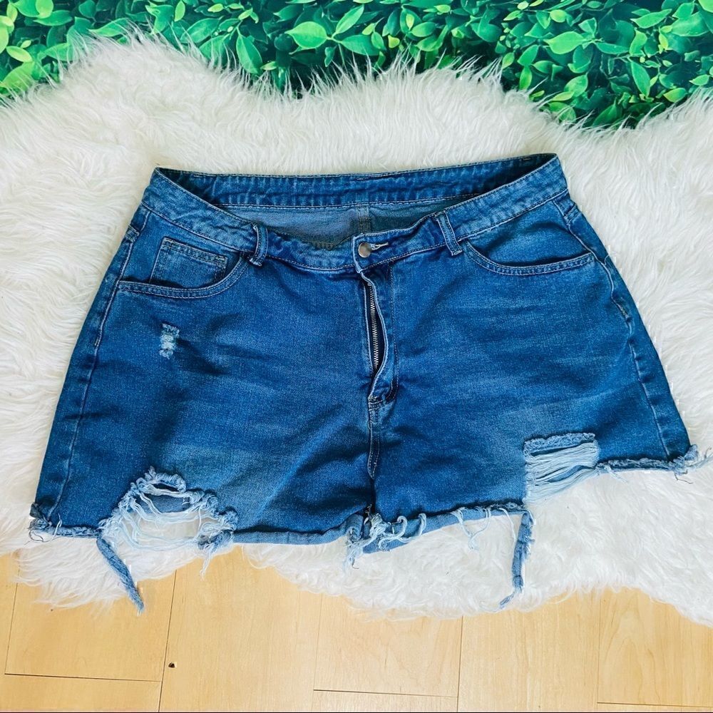 Spring & Summer distressed shorts plus size 2XL